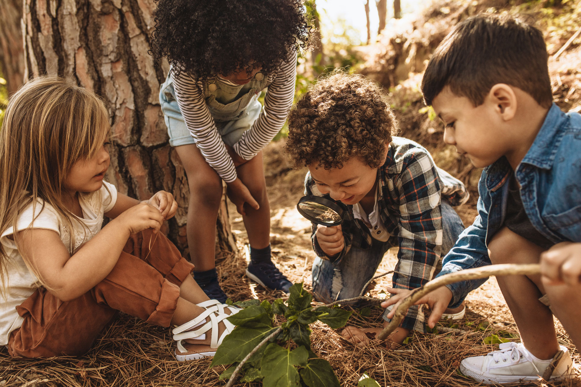 Mesa County Partnership for Children and Families