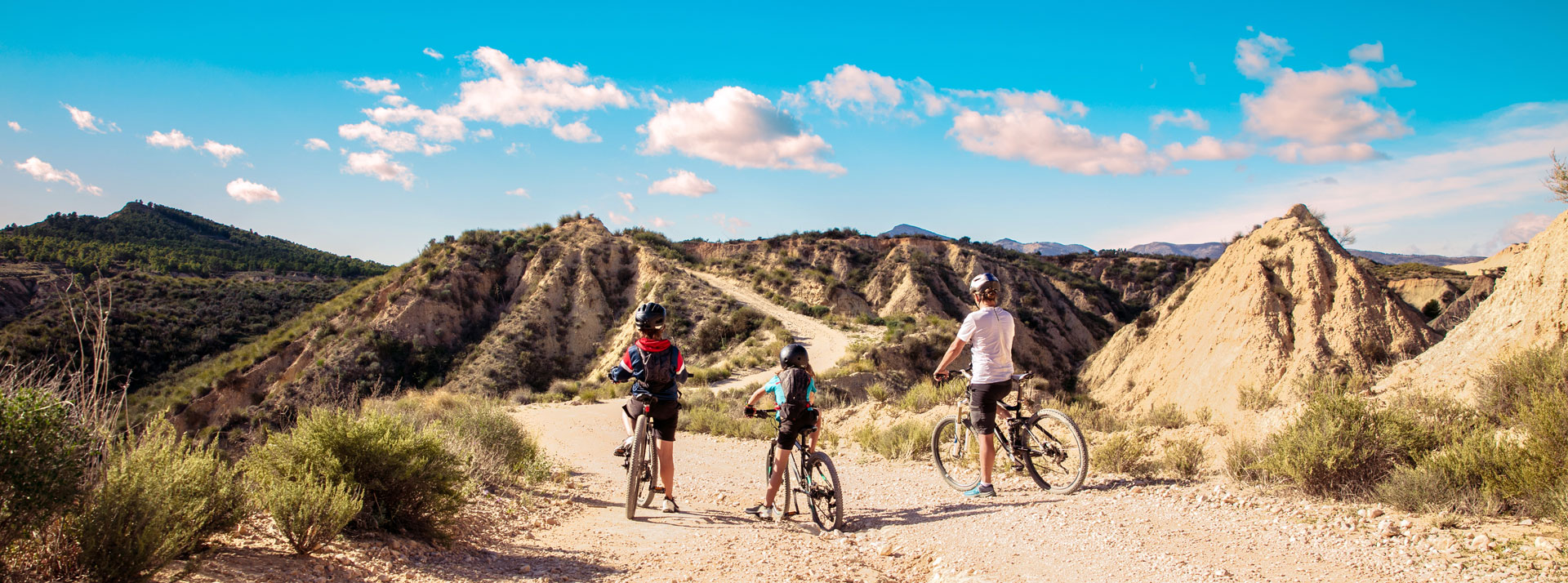 Mesa County Partnership for Children and Families